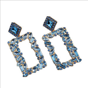 Earrings 👝 🌺 nwt